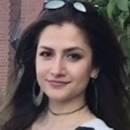 Sepideh Danai
