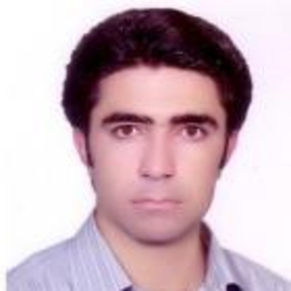 Mousa Nikahd Airbag Project Manager Bronze Industrial Group XING