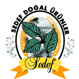 Yusuf ziya karslı