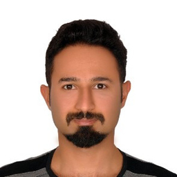 Seyed Mohammad Mousavi Langari