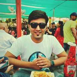 Krishna Kulkarni
