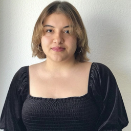 Irem Cakiroglu