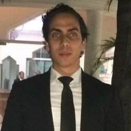 Ing. Miguel Castro