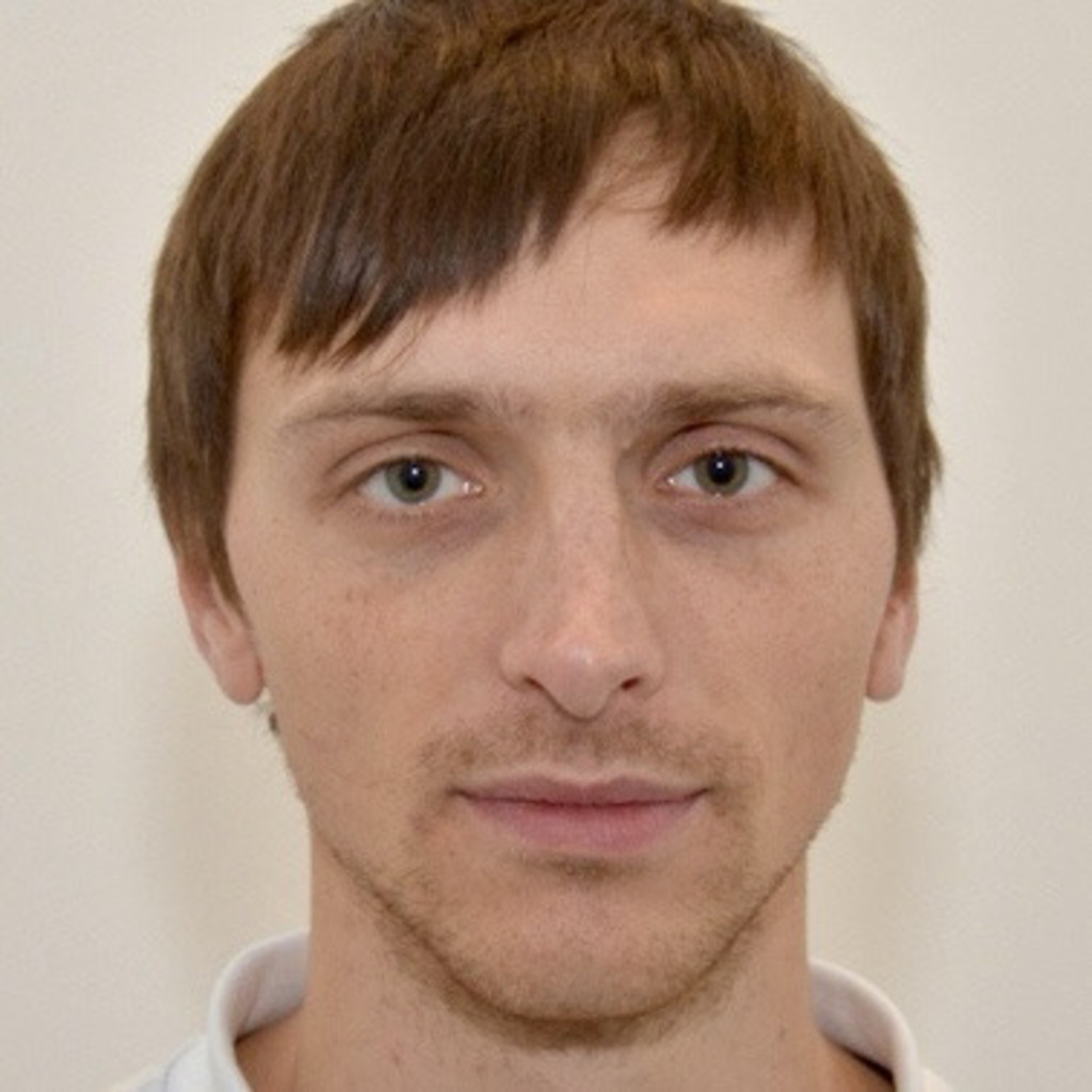 Magnus Friedrich Versuchsingenieur Brose Fahrzeugteile GmbH XING