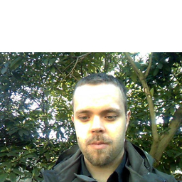 Vincent Van Steenbergen