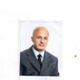 şahin şahin