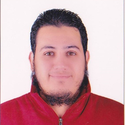 Mohamed Gamil
