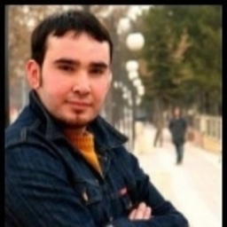Ergin şenel