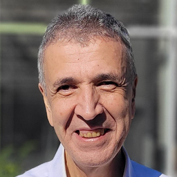 Anouar Mseddi