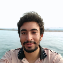 MOHAMED ALI MSEKNI