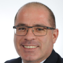 Maurizio Ingrande