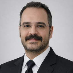 Mohammad Mahdi (Sina) Ahmadzade's profile picture