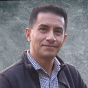 Manuel Flores Solano