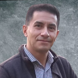 Manuel Flores Solano