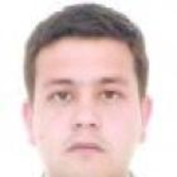 MIGUEL FAIR GUATAVA CASTIBLANCO
