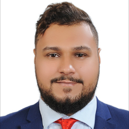 Ing. Mohamed Aly Hassan Aly
