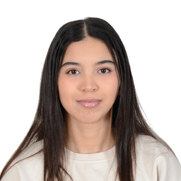ILHAM EL OMARI