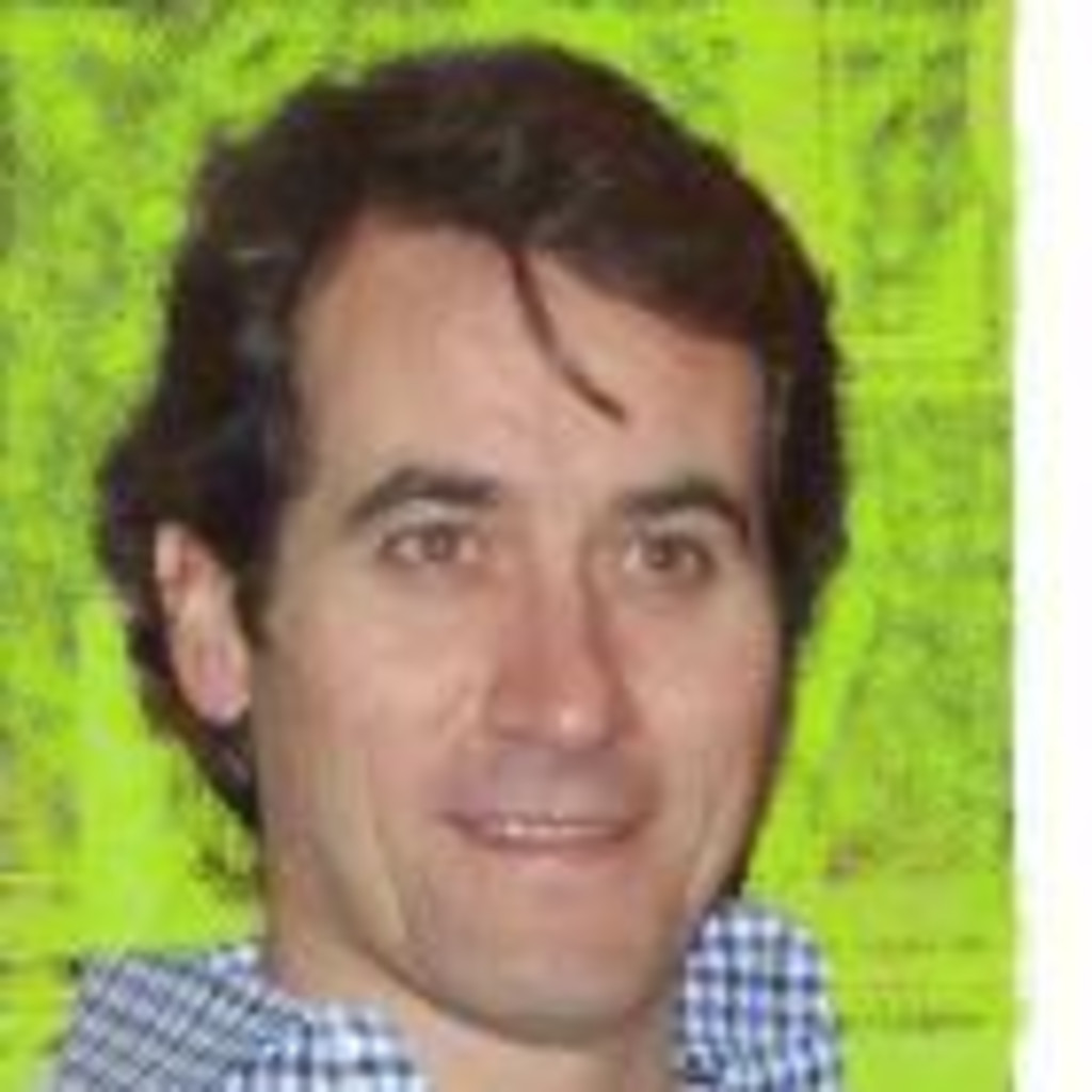 Gonzalo Gonzalez Peña Consultant Idependent Consultant XING