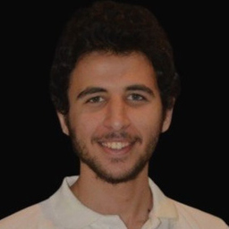 Mohamed Aboeljereed
