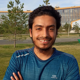 Mohamed Hassan
