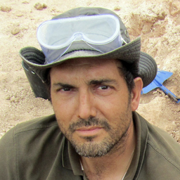 Manuel Salesa Calvo