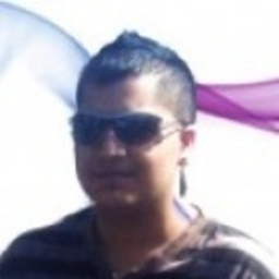 Human Shafighi