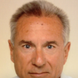 Ing. Franz Hartinger