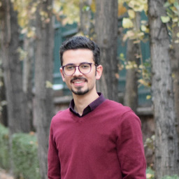 Dr. Hesam Soltan Mohammadi