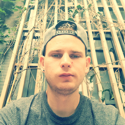 Dominik Gisler's profile picture
