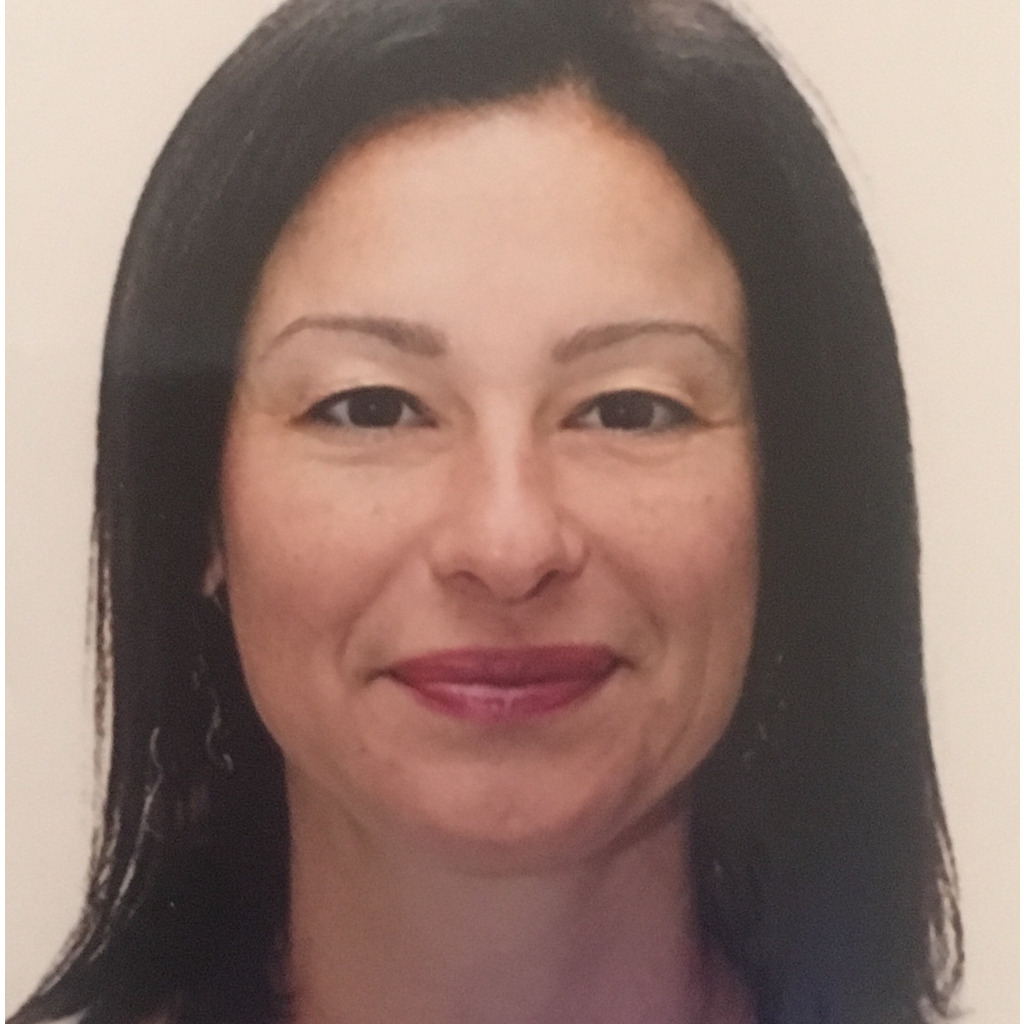 Jasmina Mehic Finance Manager Genius Solutions LLC XING