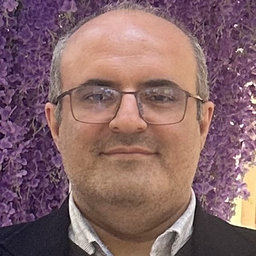 seyedhossein mirsaeedghazi
