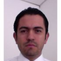 Diego Andrés Vargas Figueroa