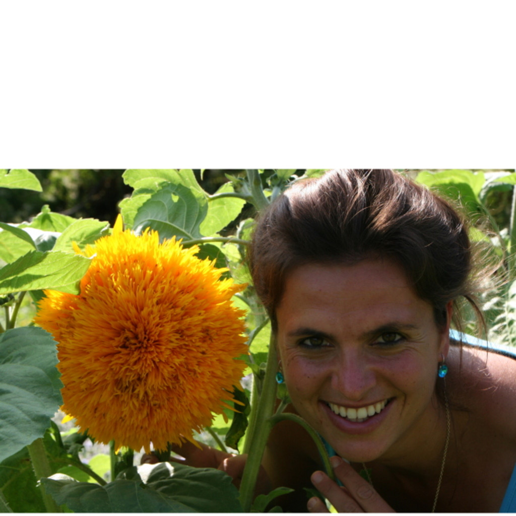 Eva Maria Walle - Anbauberatung für Arznei,- Gewürz- und Aromapflanzen ...