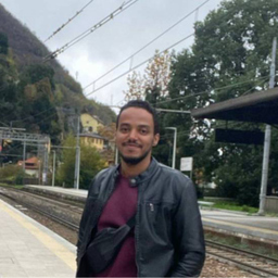 Ali Mahdi