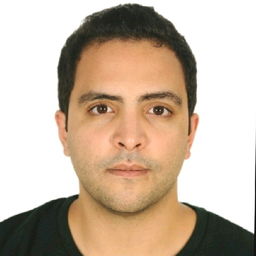 Ing. Hamed Younes