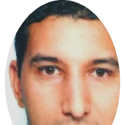 Hicham El Ansari