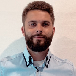 Dominik Immel