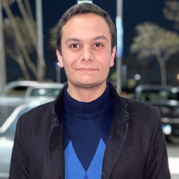 Mahmoud Mohsen