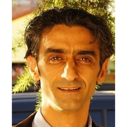 Tamer Guler