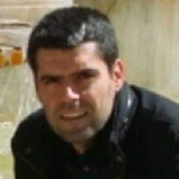 Francisco J. Pérez Martín