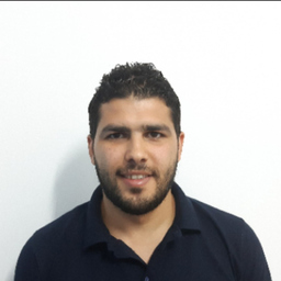 Sherif Hesham