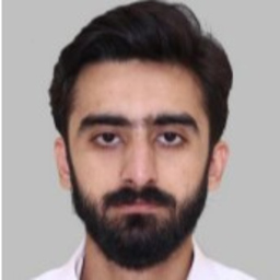 Muhammad Saad Majeed