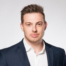 Ing. Daniel Herzog's profile picture
