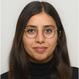 Reyhaneh Rajabigamchi