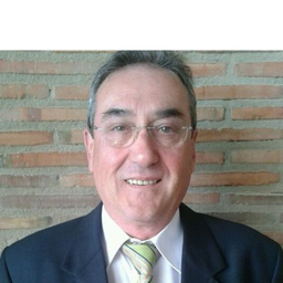 VICENTE MINGARRO ROSELL