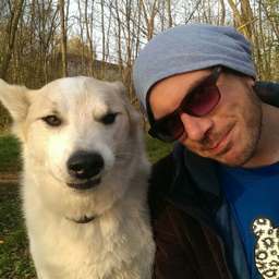 Florian Lösch's profile picture