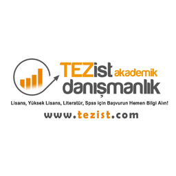 Tezist Danışmanlık