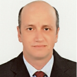 Mohamed Elansary