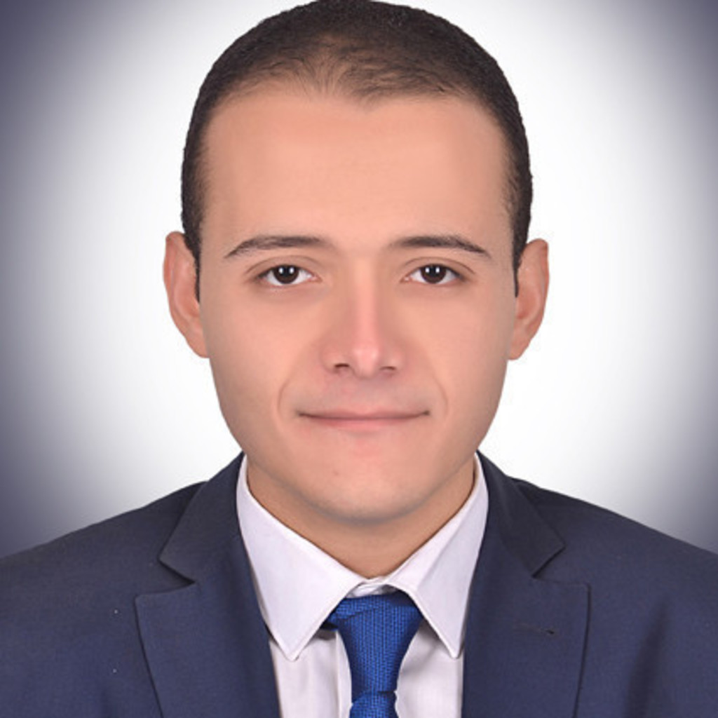 Ahmed Gamal - Accountant - Millensys | XING