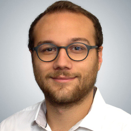 Alexander Fink